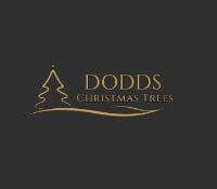Dodds Christmas Trees Leeds image 1